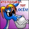 Аватар користувача
