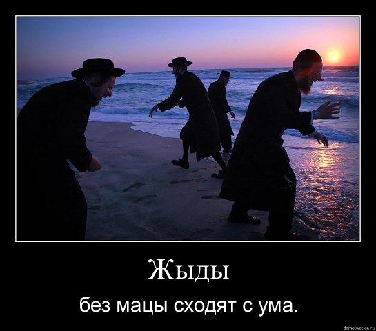 x_2db4a593.jpg