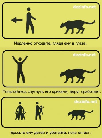 о детях и животных