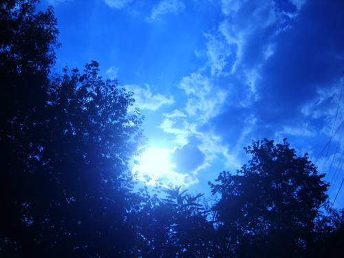 S83000491.jpg