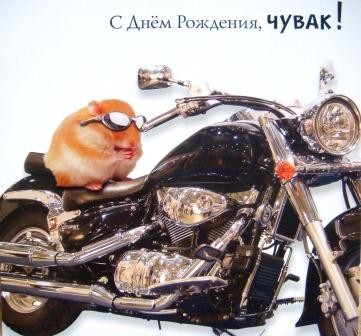 хомяк.jpg