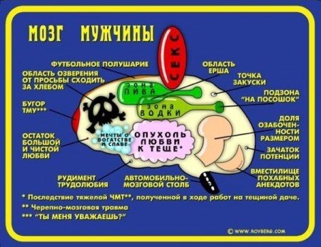 x_86ba6d34.jpg