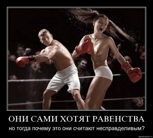 x_28393153.jpg