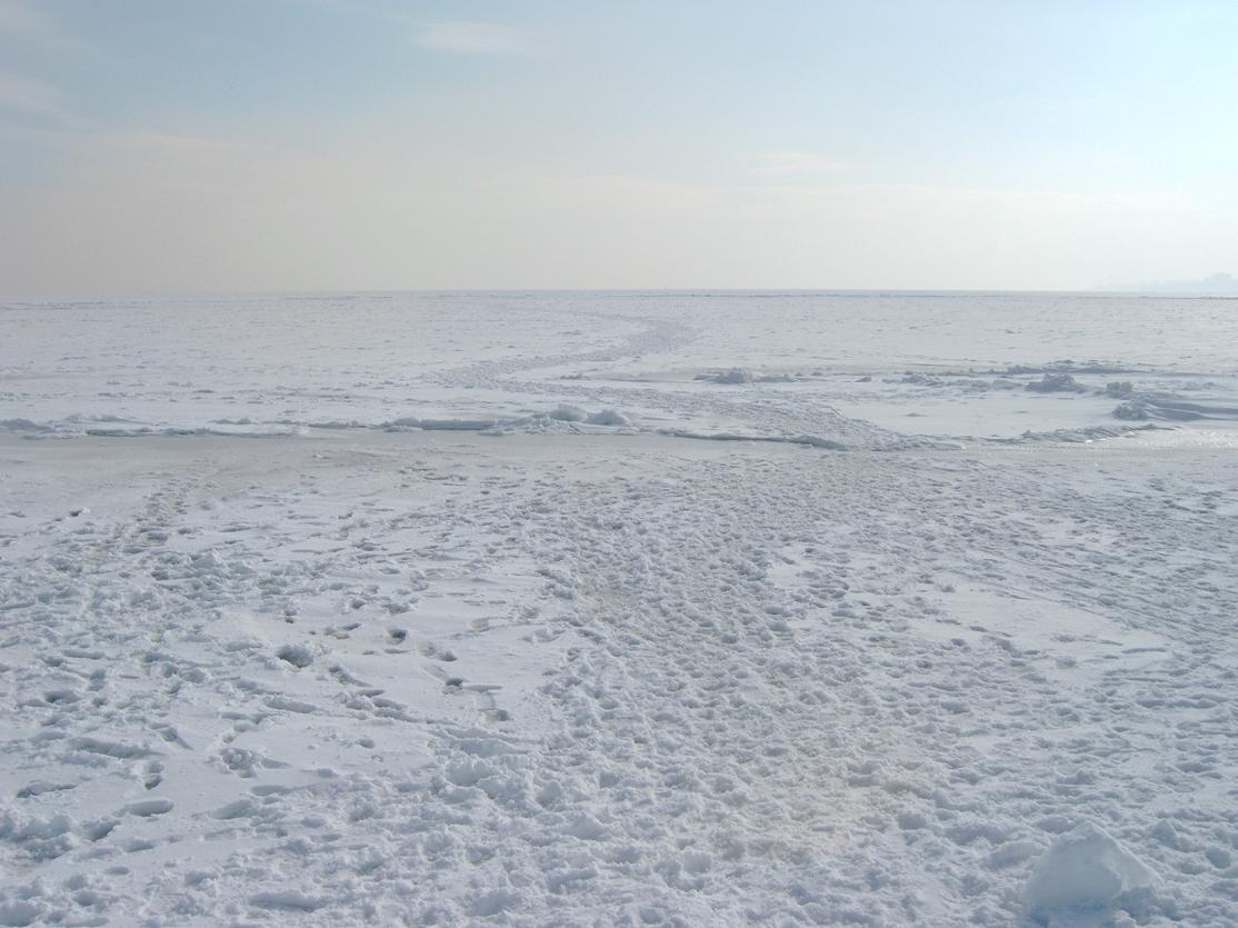 IMAG0033.JPG