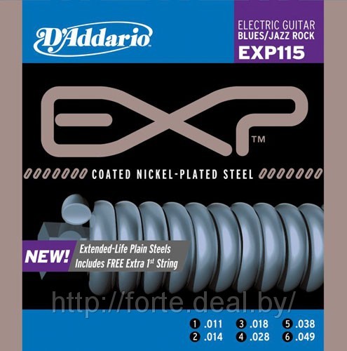 exp115.jpg