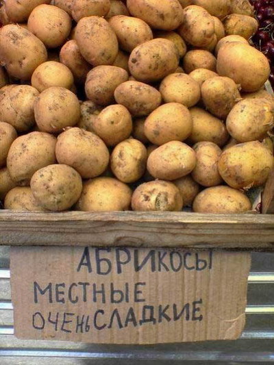 сладкие абрикосы.jpg