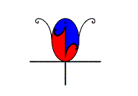 kv.GIF