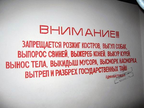 151581884484.jpg
