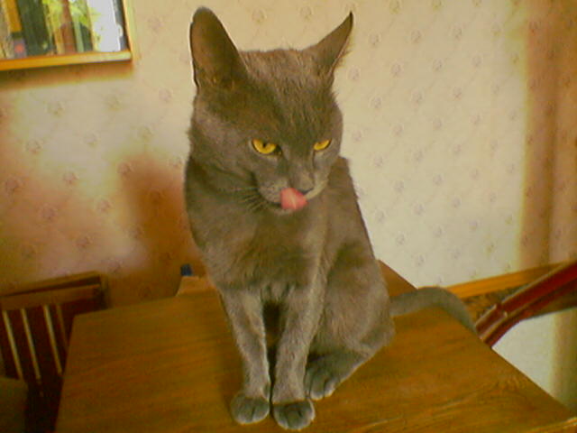 060810_114122.jpg
