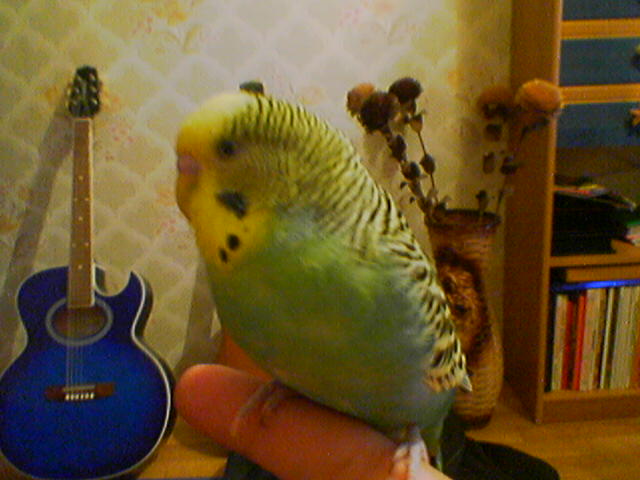 050511_194920.jpg