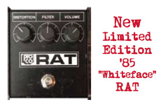 proco-whiteface-rat.jpg