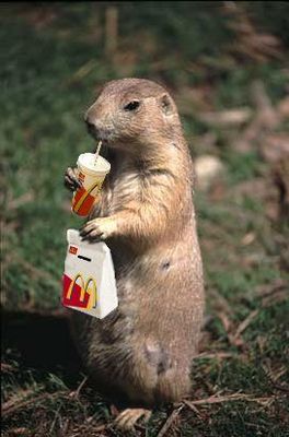 normal_20050222-mac.jpg
