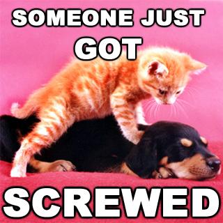 lose-screwed.jpg