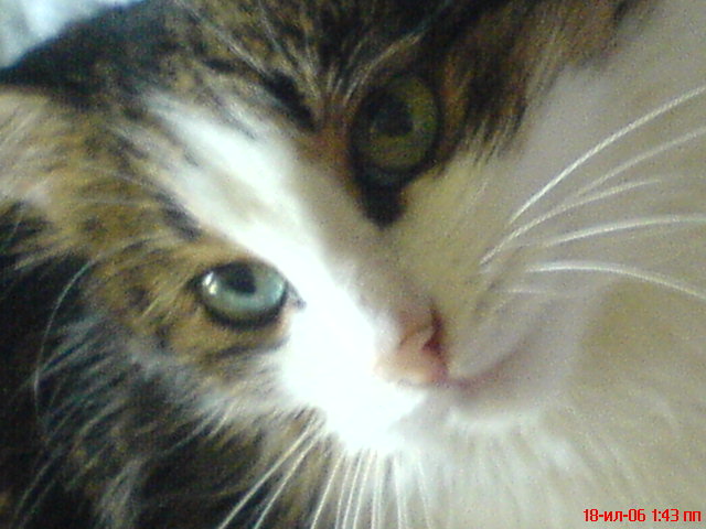 DSC00589.JPG