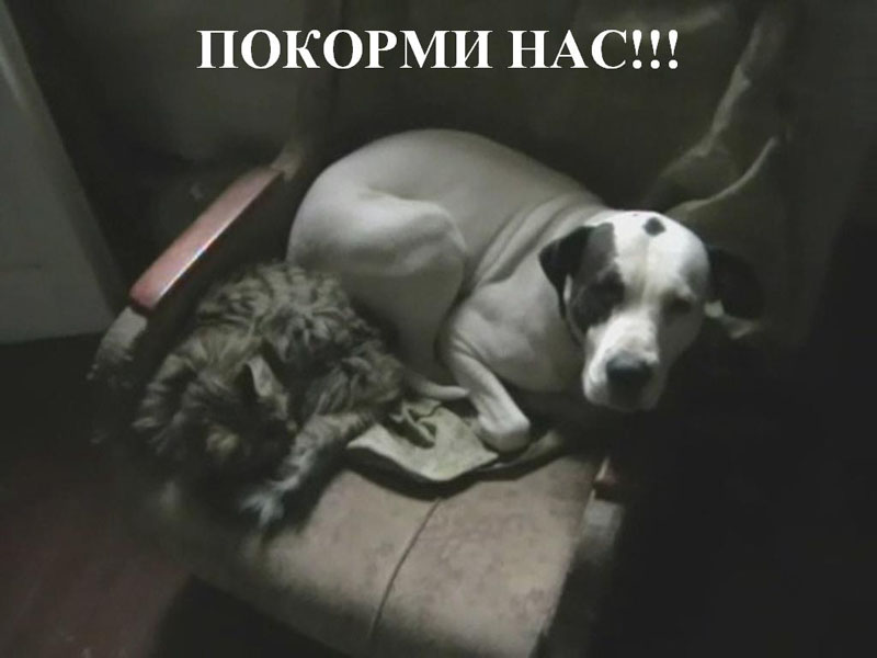Капа и Моня.jpg