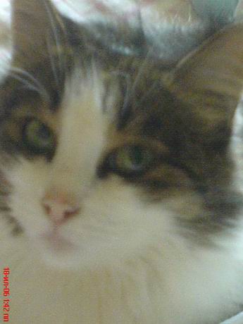 DSC009584.jpg