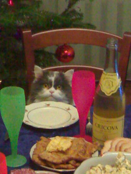 01012007110.jpg