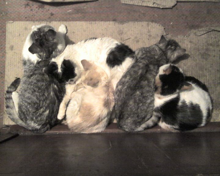 060122_200312.jpg