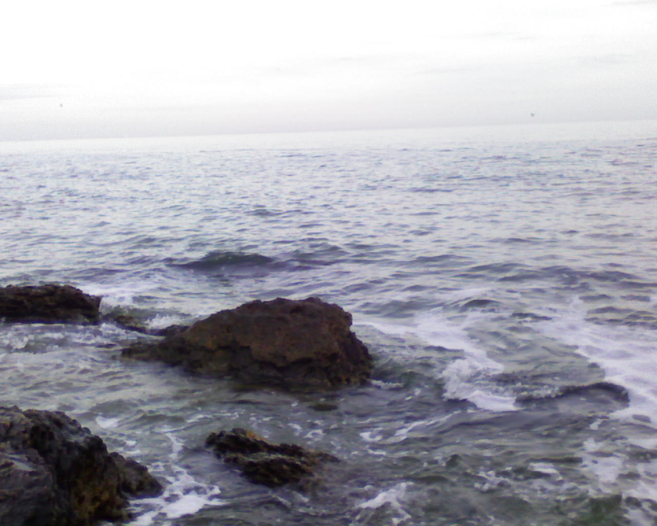SP_A0512.jpg