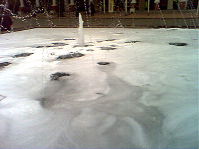 IMG0318A.jpg