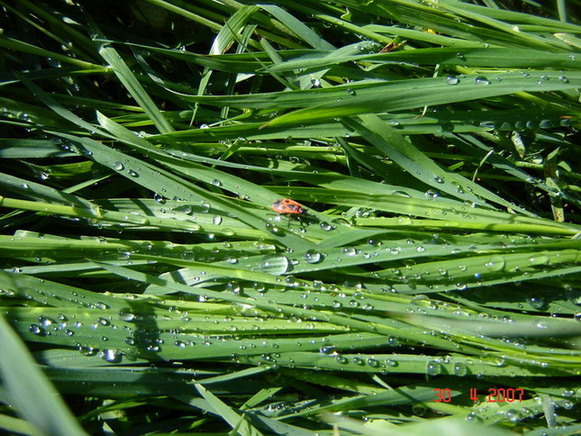 DSC03458.jpg