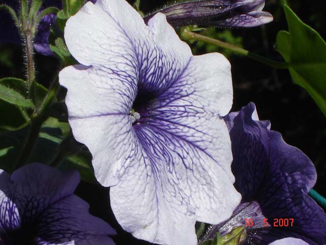 DSC01963.JPG
