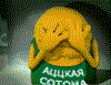 АЦЦКАЯ СОТОНА