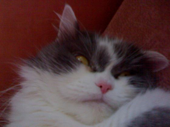 290720072380.jpg