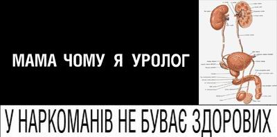 fotogaba_10.jpg
