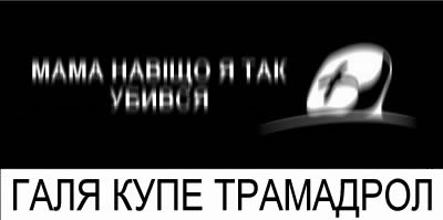 fotogaba_4.jpg
