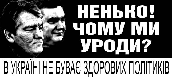 nenko.jpg