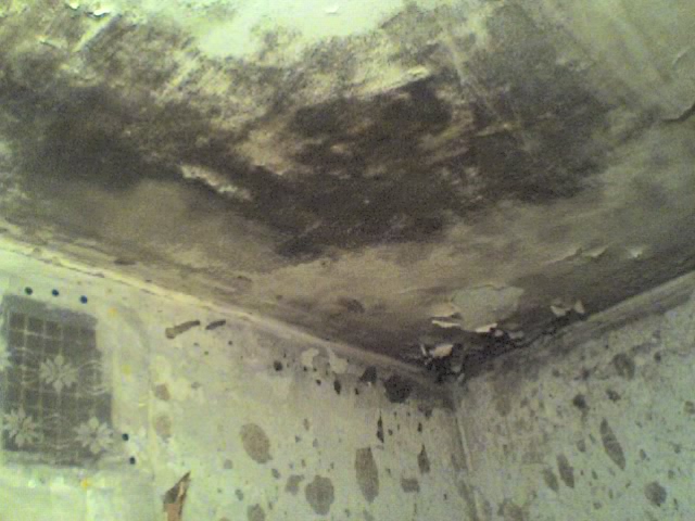 24-09-07_1428.jpg
