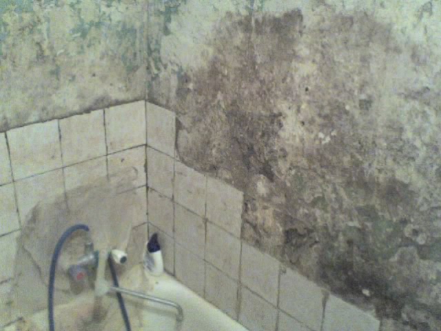 24-09-07_1431.jpg