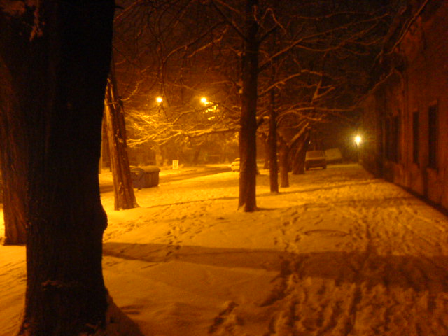 DSC00389.JPG