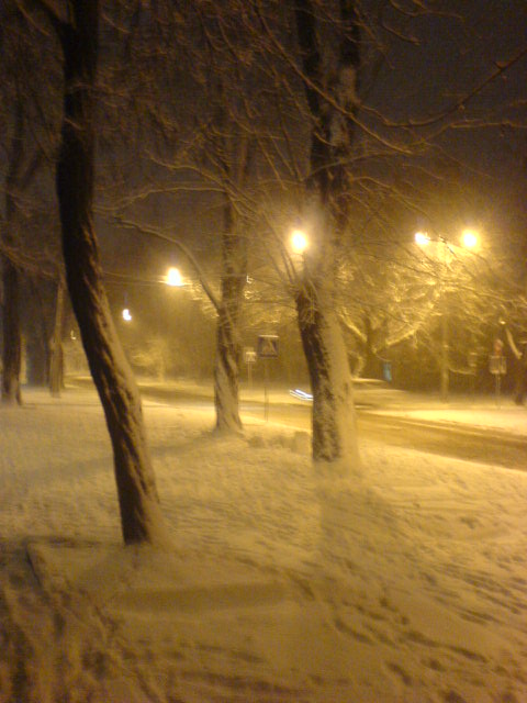 DSC00397.JPG