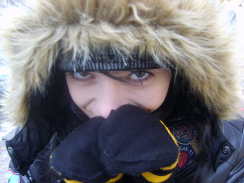 S8300339.jpg