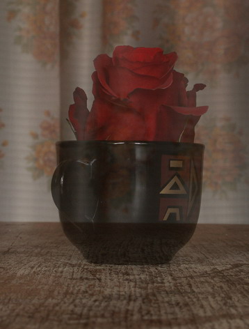 PICT0098.jpg