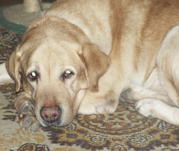 PICT0103.jpg