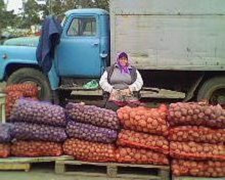 Вот она�аризма!������