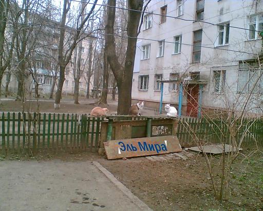 2008_02_06ф001_мал.JPG